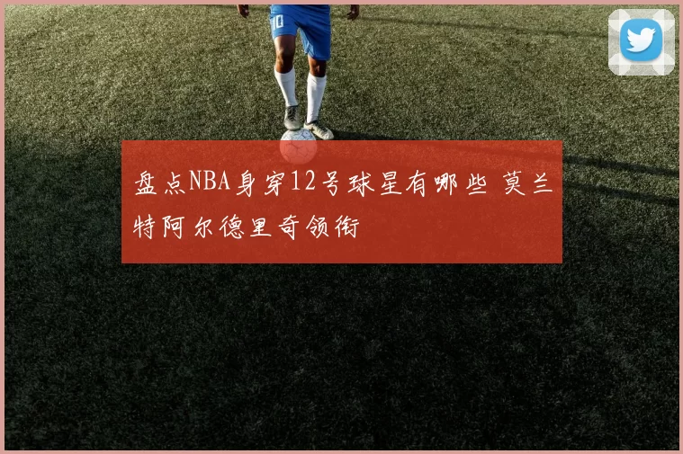 盘点NBA身穿12号球星有哪些 莫兰特阿尔德里奇领衔