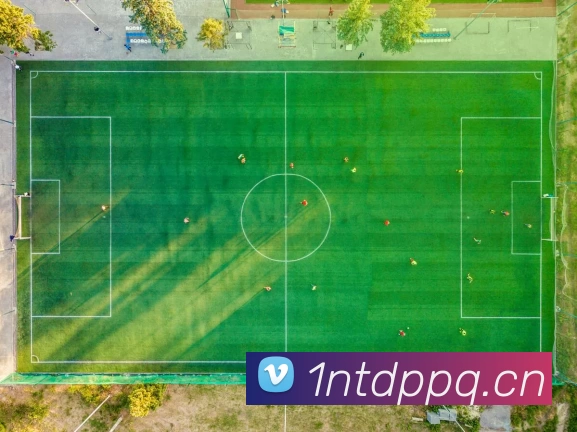 开云手机站官方版网站登录入口 - 开云(中国)服务体系