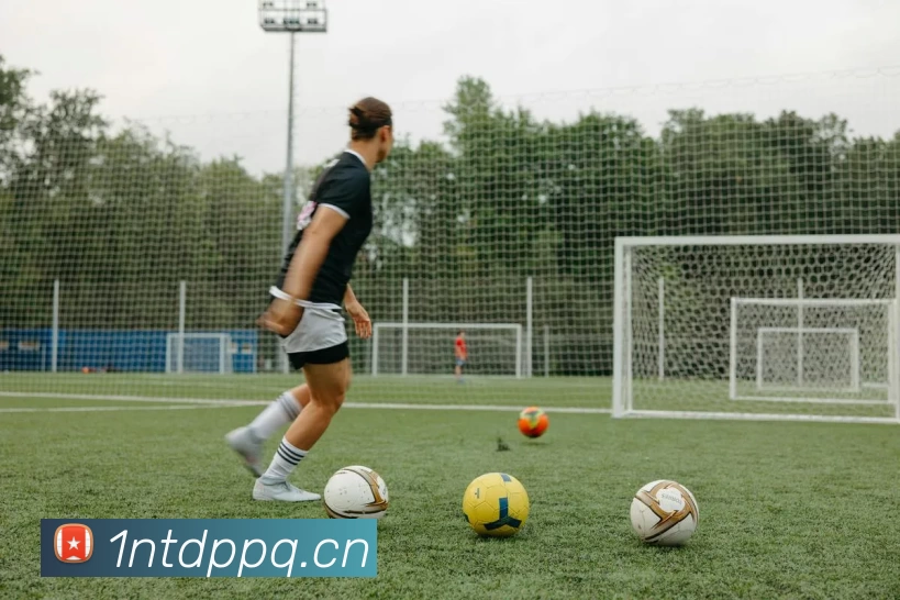 App Interface Preview