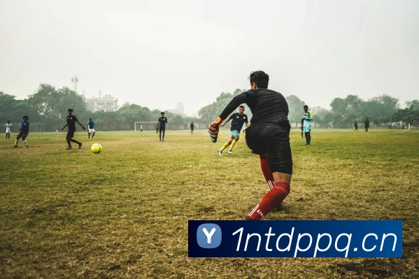 开云·kaiyun体育(中国)官方网站 - 登录入口APP 封面图